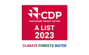 CDP Triple A Website